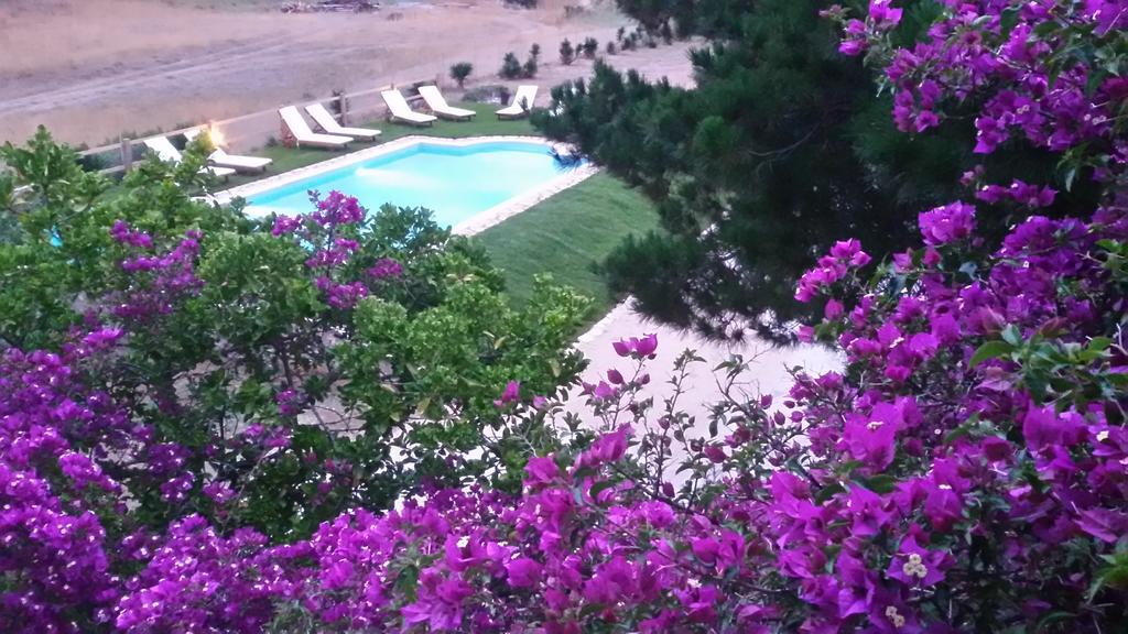 Elli Beach Apartments And Studios Almiros Beach Habitación foto